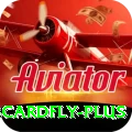 3cardfly Turbo v5.4.4
