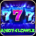 andy flower Premium Edition v4.2.6