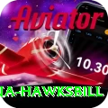 antigua hawksbill Pro Edition v3.7.9