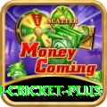 australian cricket Plus - Win Real PKR