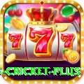bet365 cricket Slot Machine Mega