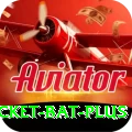 cricket bat Official v4.1.9