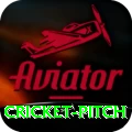 cricket pitch Plus v4.3.4