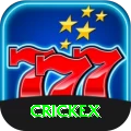 crickex Gold v5.6.3