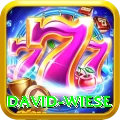 david wiese Pro v4.8.5