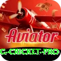 eng cricket Super PK v3.2.9
