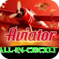 fastest ball in cricket Turbo Pro v2.8.0