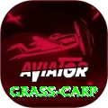 grass carp VIP