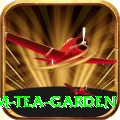 hile ilam tea garden Games (Casino & Earning) Premium v4.4.4