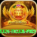 holloween tiger Gaming Royal