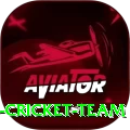 hong kong cricket team Pro v4.0.3