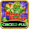 india bangladesh cricket Slots Turbo v1.2.2