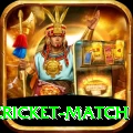 india pakistan cricket match Ultimate v2.5.7