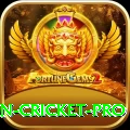india pakistan cricket Earn Gold v5.3.4