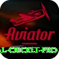 international cricket Master Gaming App