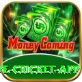 live cricket app Deluxe Pro v4.1.1