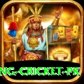 make money betting cricket pk Pro Edition v1.1.8