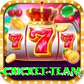 netherlands cricket team Max v1.2.8