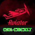 odi cricket Pro Edition v2.7.3
