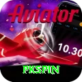 pkspin Pro Max vv1.3.9