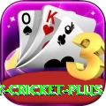 play cricket Game Gold v2.6.8