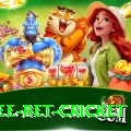 risk free bet cricket Apps (Tools & Injectors) Pro v1.4.6