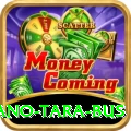 saano tara bus Gold Edition v3.1.3
