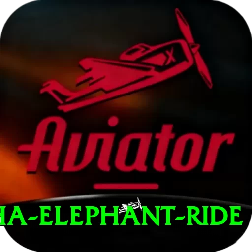 sauraha elephant ride Max Pro v4.7.7 - 2