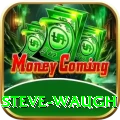 steve waugh Elite Pro v3.8.7