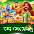 t20 cricket Pro