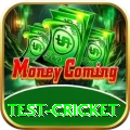 test cricket Gold v2.6.8