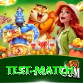 test match Deluxe Edition v5.1.7