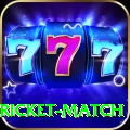 to day cricket match Deluxe Edition v3.5.0
