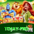 tojay Games (Casino & Earning) Ultimate v2.9.5