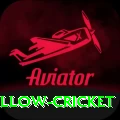 willow cricket Premium v5.1.5