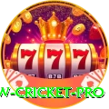 willow cricket - Live Master