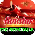 world t20 schedule Apps (Tools & Injectors) Ultimate v3.1.3
