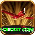 www cricket com Pro v2.7.0